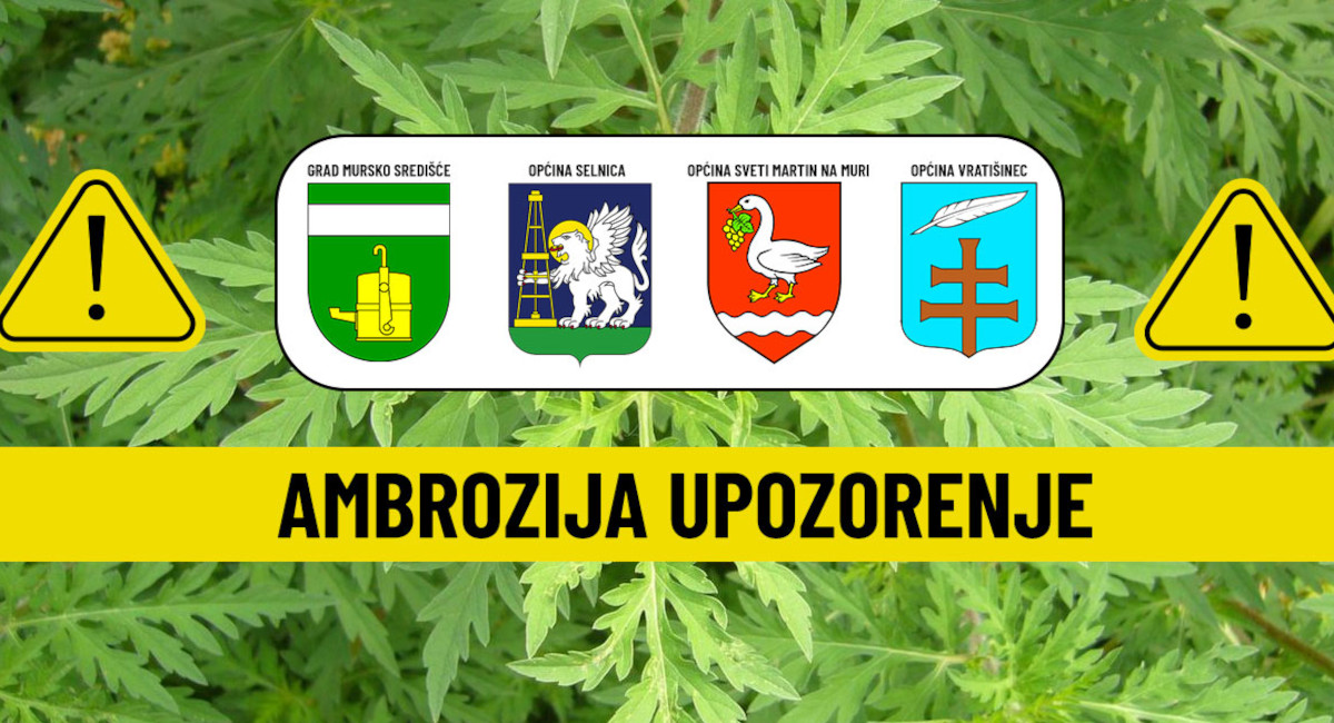 Građani, redovito uklanjajte ambroziju sa svojih parcela! Građani, redovito uklanjajte ambroziju sa svojih parcela!