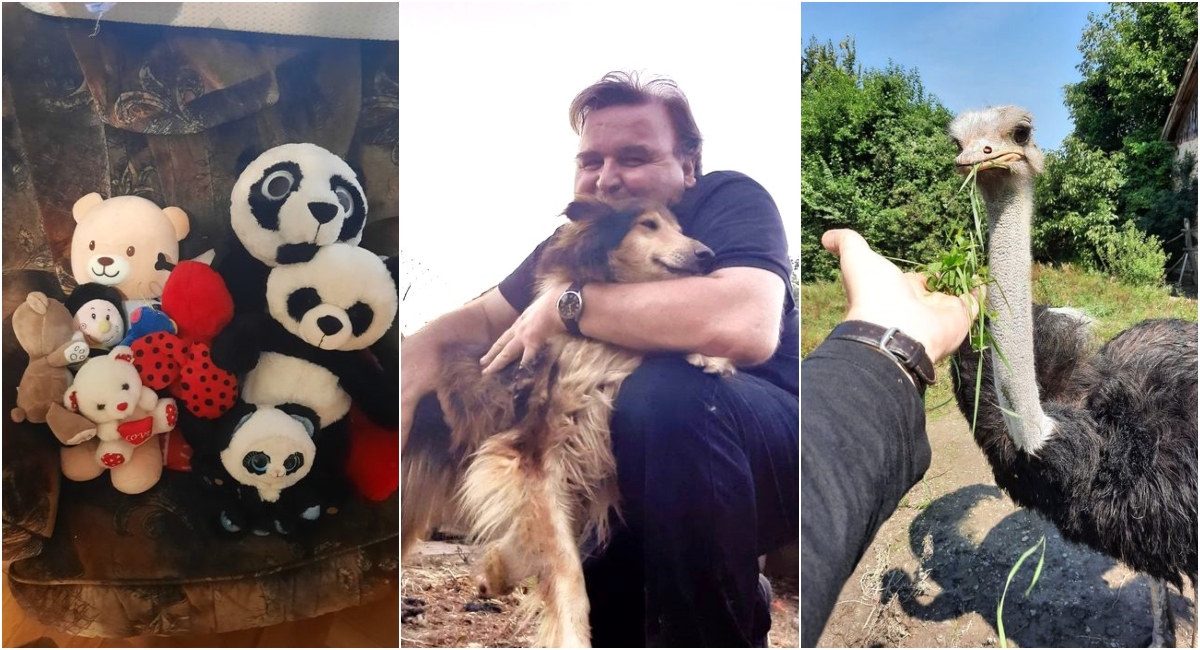 Noja sam poklonio nećakinji u Lipik, a medeki i pesek idu sa mnom u Pitomaču! Noja sam poklonio nećakinji u Lipik, a medeki i pesek idu sa mnom u Pitomaču!