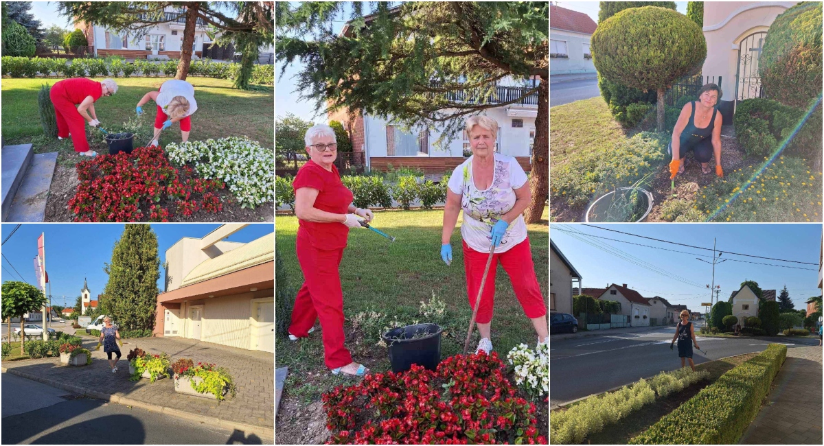 FOTO Članice Udruge žena Strahoninec marljivo brinu o uređenju i izgledu cvjetnih gredica FOTO Članice Udruge žena Strahoninec marljivo brinu o uređenju i izgledu cvjetnih gredica