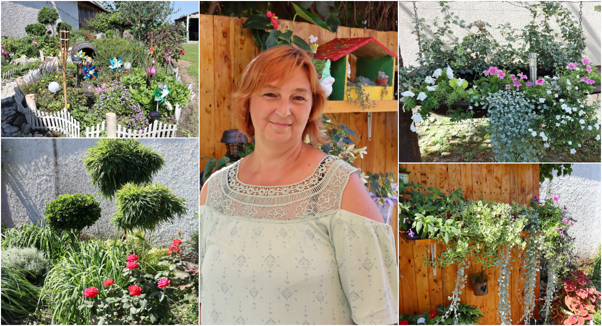 FOTO Prekrasan, bujan vrt pri kraju ljeta!? To može samo Jasminka Hranjec, žena velikog srca! FOTO Prekrasan, bujan vrt pri kraju ljeta!? To može samo Jasminka Hranjec, žena velikog srca!