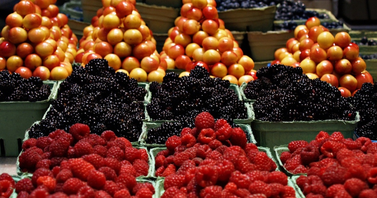 Hrvati moraju uvoziti 55 posto povrća i čak 65 posto voća! Hrvati moraju uvoziti 55 posto povrća i čak 65 posto voća!