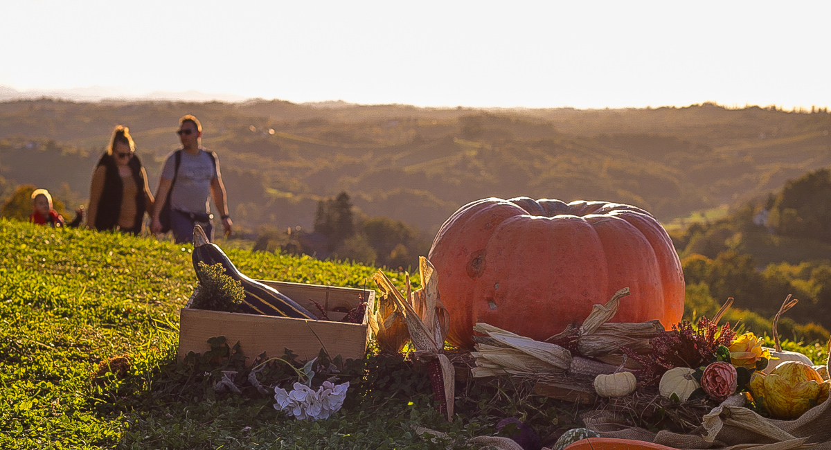 Raspisan jubilarni 10. fotografski natječaj ‘Moji doli i bregi’ Raspisan jubilarni 10. fotografski natječaj ‘Moji doli i bregi’