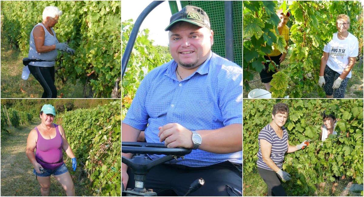 FOTO Rodio se “V goricaj”, ali je vjerovao da nikad neće biti vinogradar i vinar! No, djed Josip Škvorc bio je uporan! FOTO Rodio se “V goricaj”, ali je vjerovao da nikad neće biti vinogradar i vinar! No, djed Josip Škvorc bio je uporan!