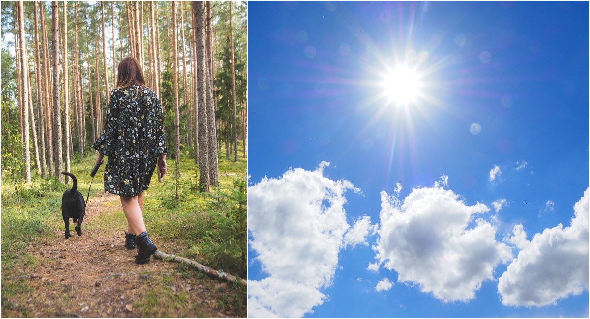 Pretežno sunčano i ugodno – Savršen vikend za aktivnosti na otvorenom! Pretežno sunčano i ugodno – Savršen vikend za aktivnosti na otvorenom!