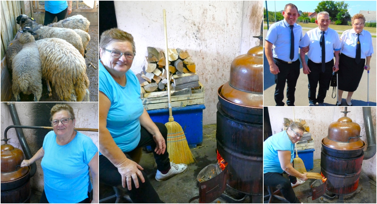 Baka Ružica peče najbolju rakiju! Nema joj premca u Međimurju! Baka Ružica peče najbolju rakiju! Nema joj premca u Međimurju!