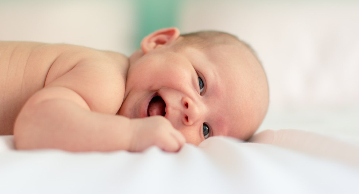 Kćeri je dobilo 10 obitelji: Dodlek, Bogdan, Kovač, Pačandi, Sakač, Grabar, Golubić, Horvat, Orehovec i Munđar, a sinove 6! Koje? Kćeri je dobilo 10 obitelji: Dodlek, Bogdan, Kovač, Pačandi, Sakač, Grabar, Golubić, Horvat, Orehovec i Munđar, a sinove 6! Koje?