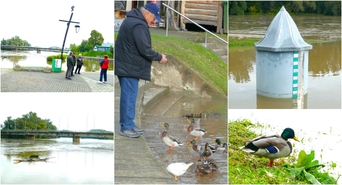 FOTO/VIDEO Škrto sunce ozarilo je obraze šetačima, koji su odahnuli zbog opadanja vodostaja Mure! FOTO/VIDEO Škrto sunce ozarilo je obraze šetačima, koji su odahnuli zbog opadanja vodostaja Mure!