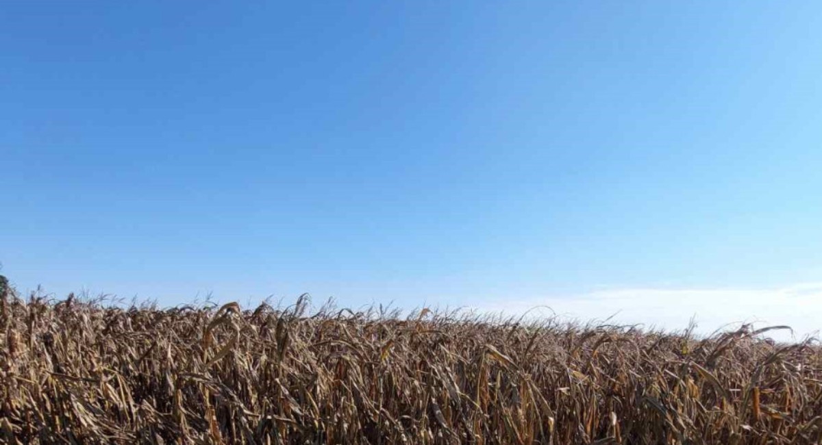 Poziv na podnošenje prijava štete od prirodne nepogode – SUŠE Poziv na podnošenje prijava štete od prirodne nepogode – SUŠE