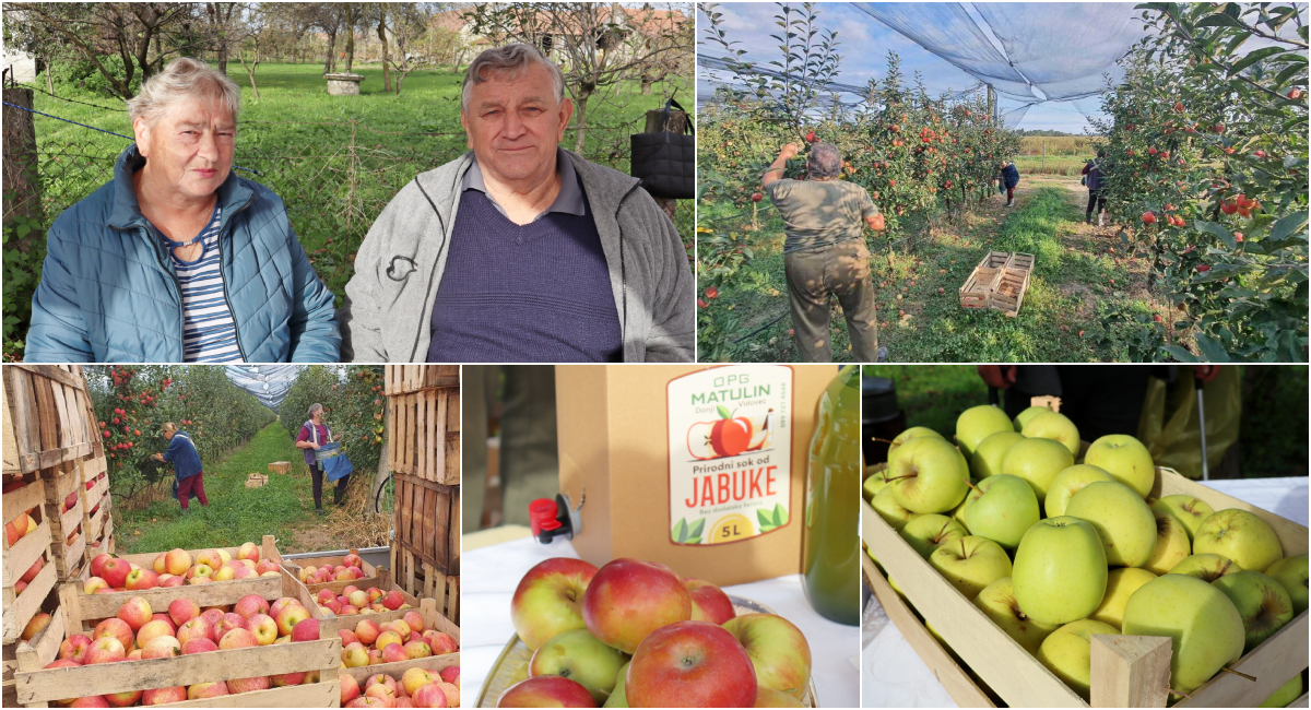 FOTO ‘Nakon odlaska u mirovinu, otvorio sam OPG, a danas uzgajamo jabuke i lješnjake!’ FOTO ‘Nakon odlaska u mirovinu, otvorio sam OPG, a danas uzgajamo jabuke i lješnjake!’