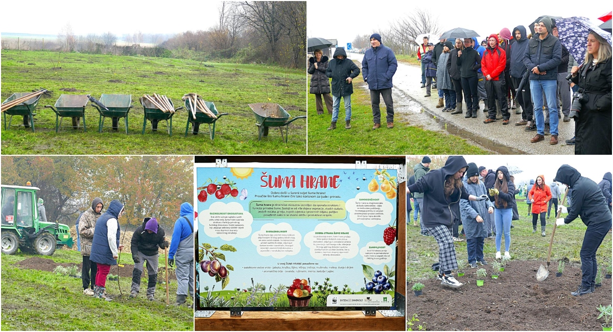 FOTO U Čakovcu je posađena prva šuma hrane, a građani će moći koristiti voće i aromatično bilje! FOTO U Čakovcu je posađena prva šuma hrane, a građani će moći koristiti voće i aromatično bilje!