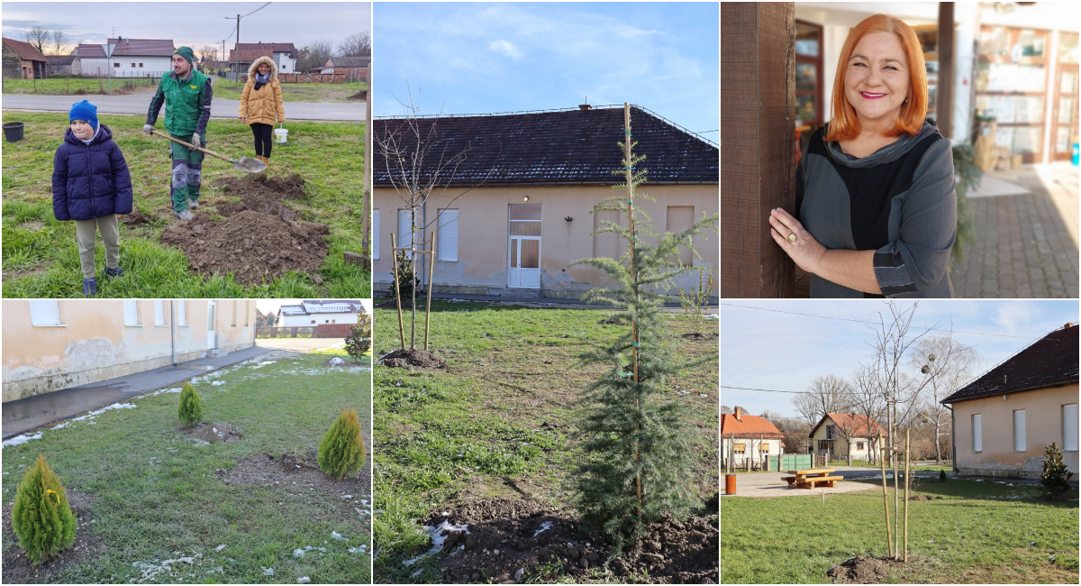 FOTO Nakon odlaska breza, u školskom parku u Donjem Mihaljevcu posađeno razno drveće i bilje! FOTO Nakon odlaska breza, u školskom parku u Donjem Mihaljevcu posađeno razno drveće i bilje!