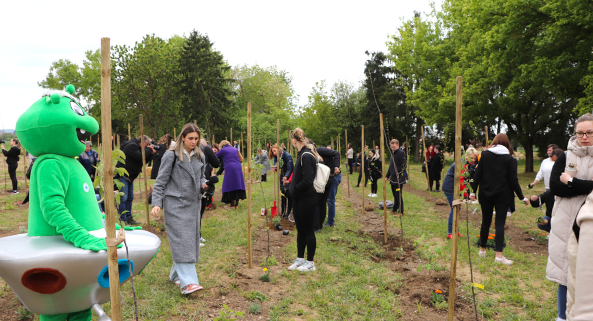 U srijedu se u Čakovcu sadi prva besplatna šuma hrane, od koje će korist imati i životinje i građani! U srijedu se u Čakovcu sadi prva besplatna šuma hrane, od koje će korist imati i životinje i građani!