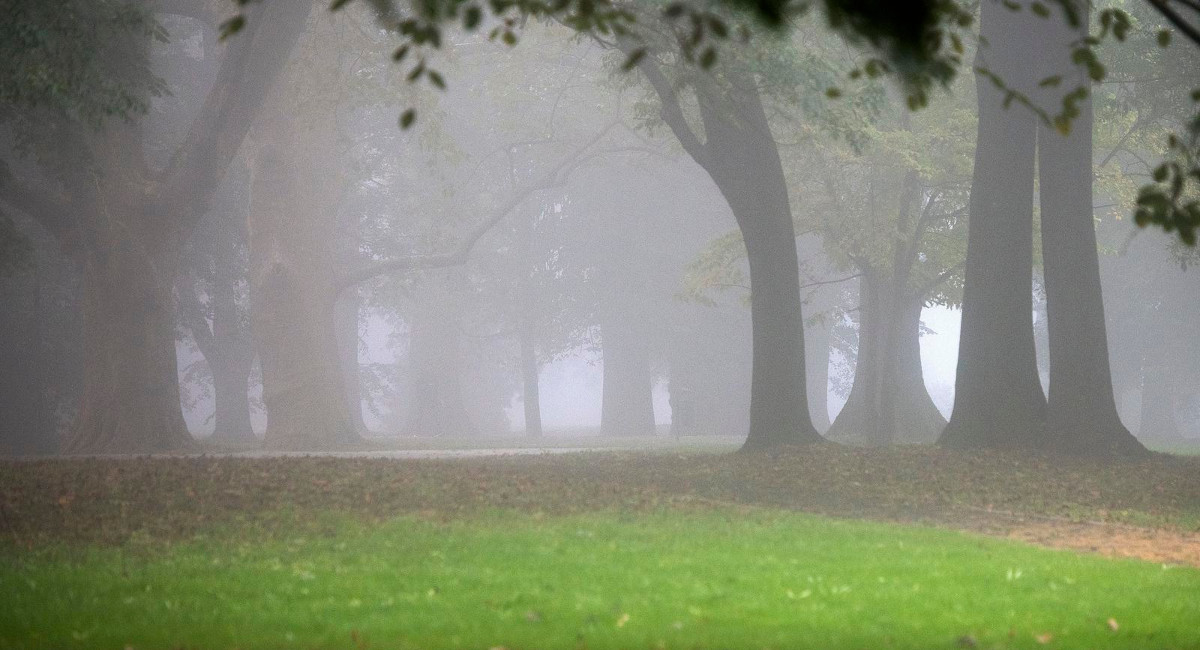 Vjeran Zganec Rogulja/Pixsell