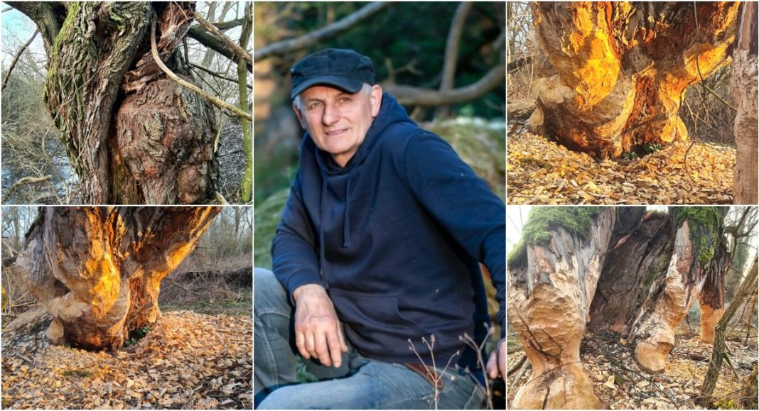 FOTO Zvonimir Habuš donosi vam čuda prirode donjeg Međimurja FOTO Zvonimir Habuš donosi vam čuda prirode donjeg Međimurja