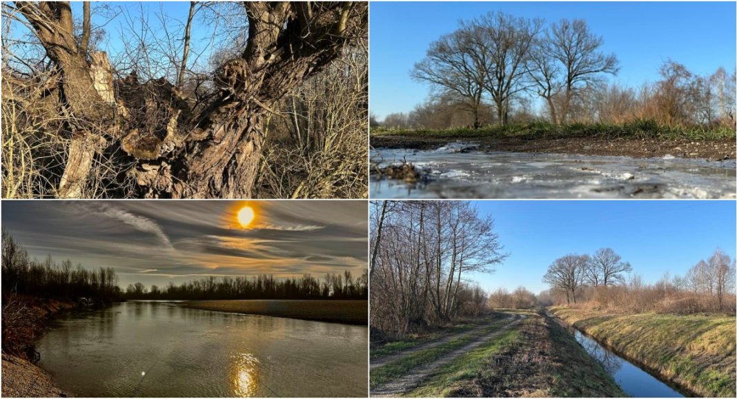 FOTO Malo Drave, donjovidovskog potoka i starih vrba FOTO Malo Drave, donjovidovskog potoka i starih vrba