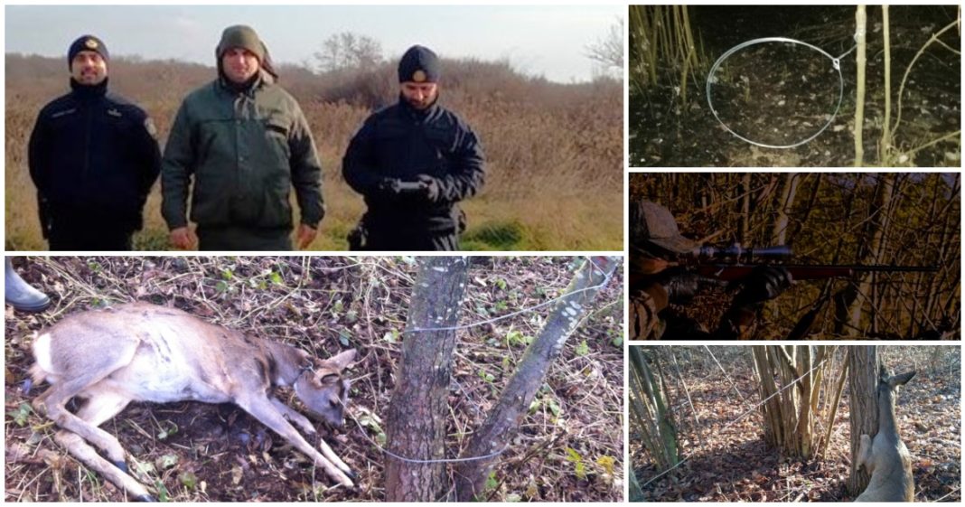 Lovokradice u strahu! Policija ih otkriva dronovima i termovizijama. Upozoravamo: neke fotografije bi vas mogle uznemiriti! Lovokradice u strahu! Policija ih otkriva dronovima i termovizijama. Upozoravamo: neke fotografije bi vas mogle uznemiriti!