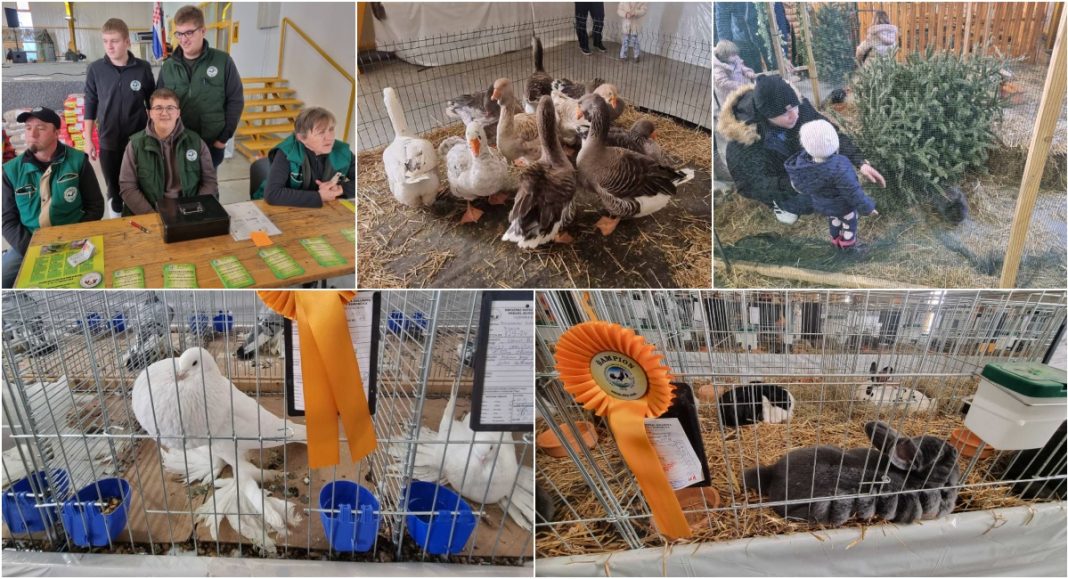 FOTO/VIDEO Više od 1500 malih životinja izloženo na prostorima Mesapa u Nedelišću FOTO/VIDEO Više od 1500 malih životinja izloženo na prostorima Mesapa u Nedelišću