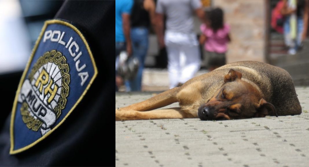 Dvojica muškaraca osumnjičena za kazneno djelo ubijanja ili mučenja životinja Dvojica muškaraca osumnjičena za kazneno djelo ubijanja ili mučenja životinja