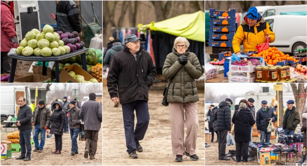 FOTO Danas je na sajmu bilo malo kupaca, promrzli su, pa zavređuju da ih pogledate na našim fotkama! FOTO Danas je na sajmu bilo malo kupaca, promrzli su, pa zavređuju da ih pogledate na našim fotkama!