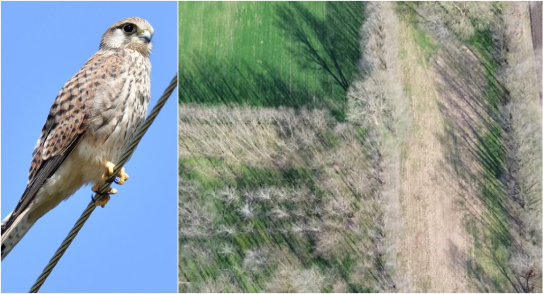 VIDEO Što je vjetruša vidjela? Na katastru jedno, na terenu drugo! VIDEO Što je vjetruša vidjela? Na katastru jedno, na terenu drugo!