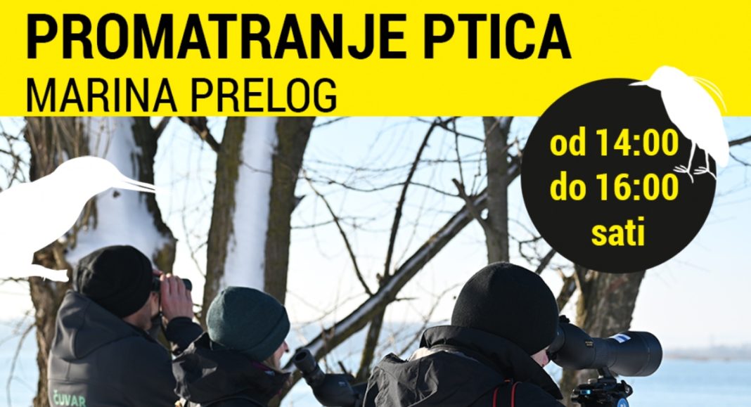Dođite na promatranje ptica na Marini Prelog! Dođite na promatranje ptica na Marini Prelog!