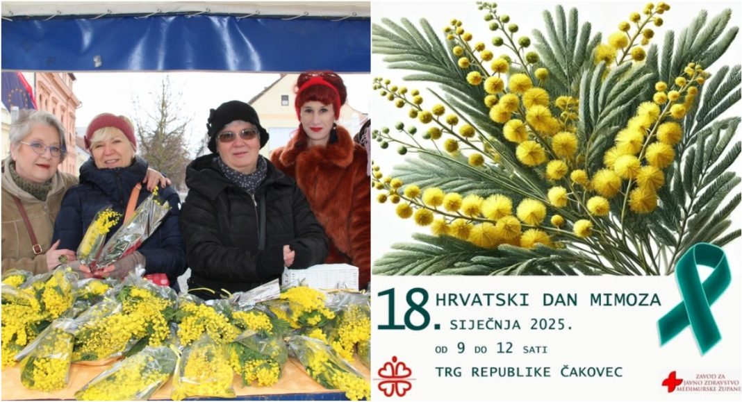 Ove subote će u centru Čakovca biti obilježen Dan mimoza Ove subote će u centru Čakovca biti obilježen Dan mimoza