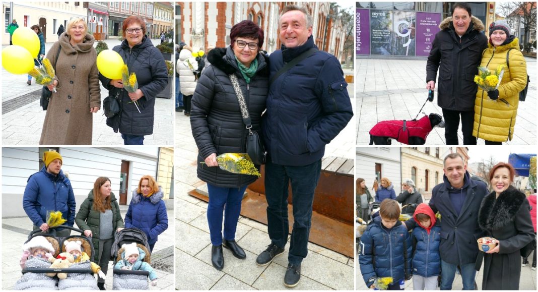FOTO Danas se grad žutio od mimoza, koje su stvarale kontrast zimskoj odjeći tamnijih boja! Pogledajte! FOTO Danas se grad žutio od mimoza, koje su stvarale kontrast zimskoj odjeći tamnijih boja! Pogledajte!