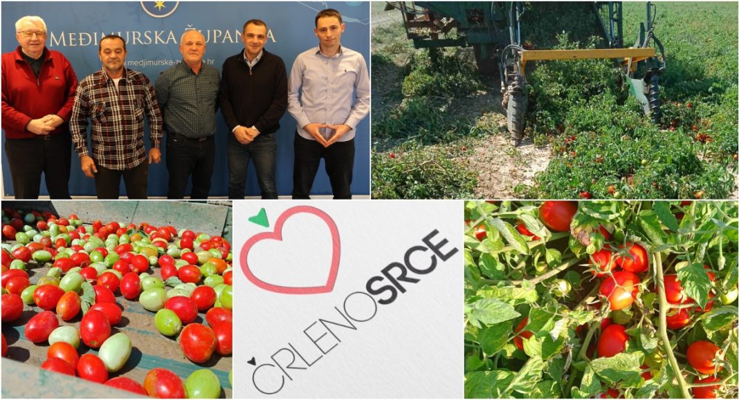 FOTO Županija podržava ciljeve nove udruge proizvođača rajčice „Črleno srce” FOTO Županija podržava ciljeve nove udruge proizvođača rajčice „Črleno srce”