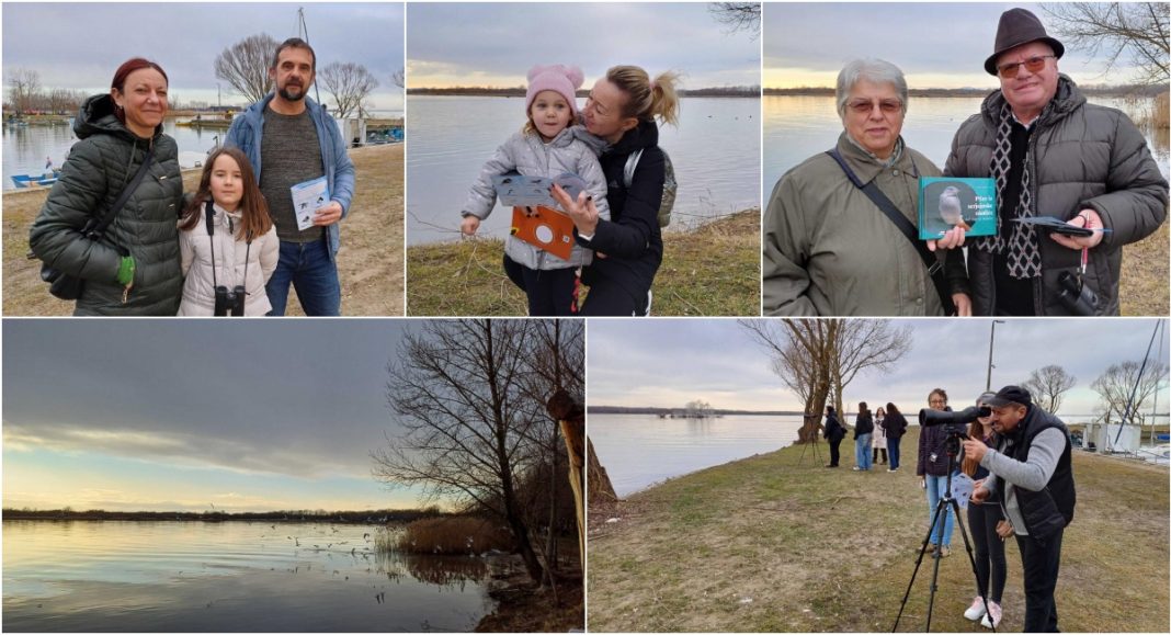 FOTO Obitelji i pojedinci uživali u promatranju ptica na Marini Prelog FOTO Obitelji i pojedinci uživali u promatranju ptica na Marini Prelog