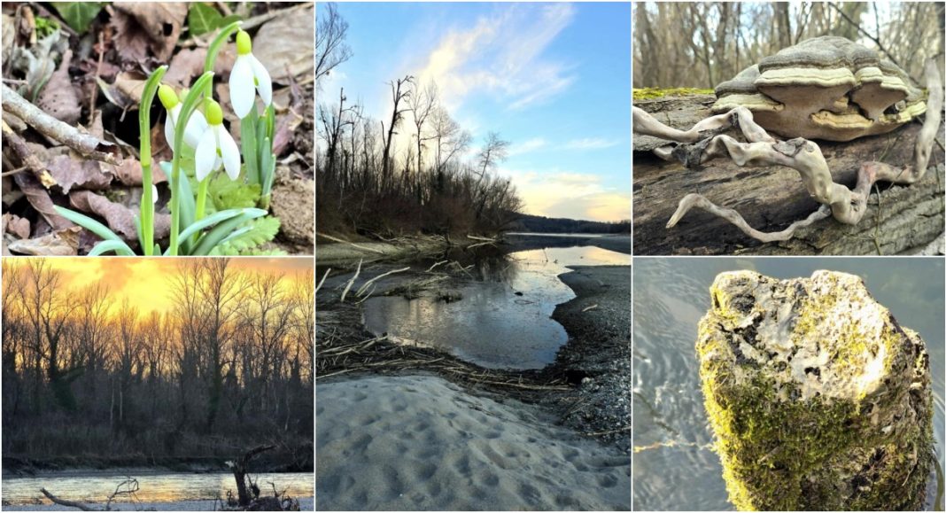 FOTO Objektivom uhvaćena čarolija prirode na ušću Mure i Drave FOTO Objektivom uhvaćena čarolija prirode na ušću Mure i Drave