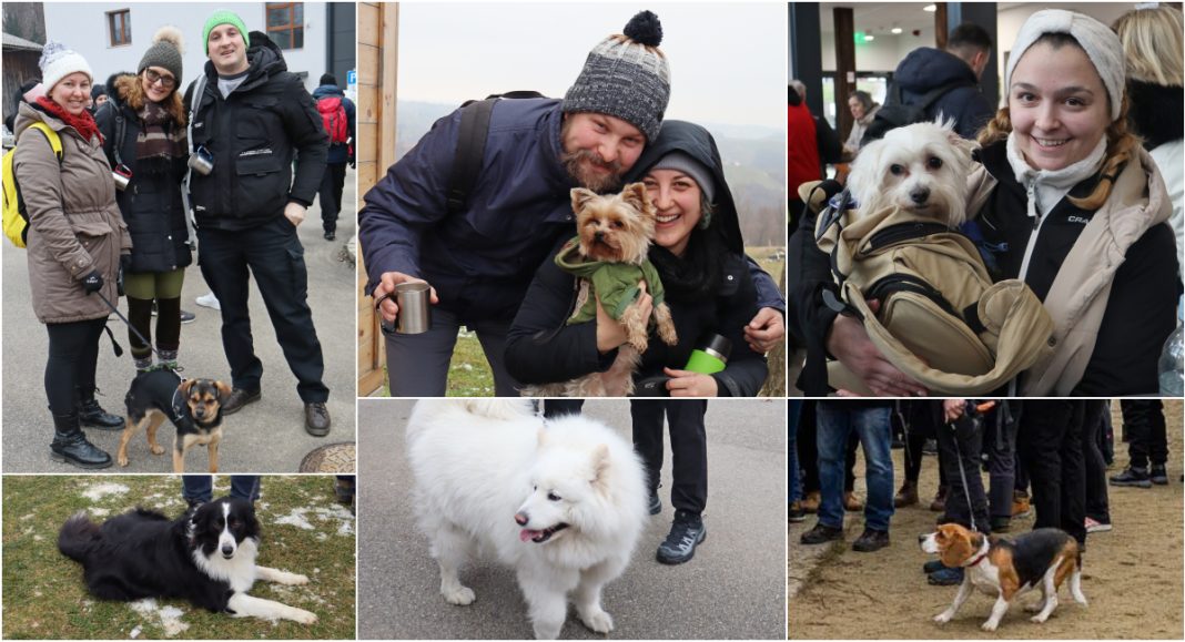 FOTO Razveseljavali hodače: preslatki dlakavci na ‘Vincekovom’ u Štrigovi! FOTO Razveseljavali hodače: preslatki dlakavci na ‘Vincekovom’ u Štrigovi!