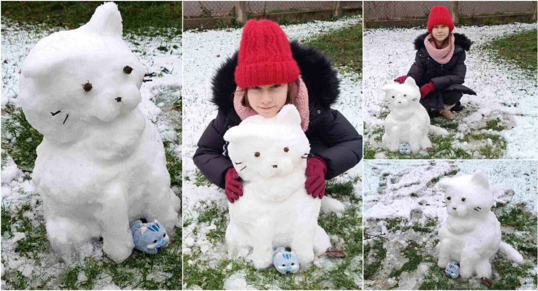 Nevjerojatno! Devetogodišnja djevojčica Dalia umjesto snjegovića napravila skulpturu mačke! Nevjerojatno! Devetogodišnja djevojčica Dalia umjesto snjegovića napravila skulpturu mačke!