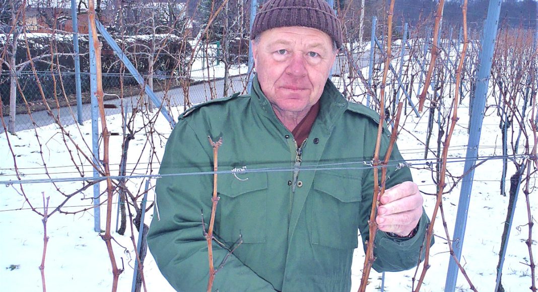 Želimo mu da u zdravlju još godinama stvara vinsku kapljicu, kojom će se Međimurci krijepiti, a Međimurje ponositi! Želimo mu da u zdravlju još godinama stvara vinsku kapljicu, kojom će se Međimurci krijepiti, a Međimurje ponositi!