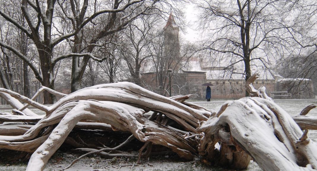 Vjeran Zganec Rogulja/PIXSELL