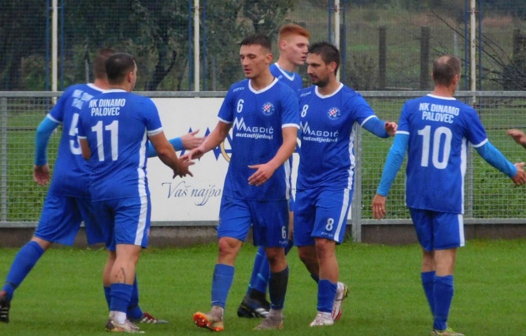 Povratnik pojačao redove Dinama (P) Povratnik pojačao redove Dinama (P)