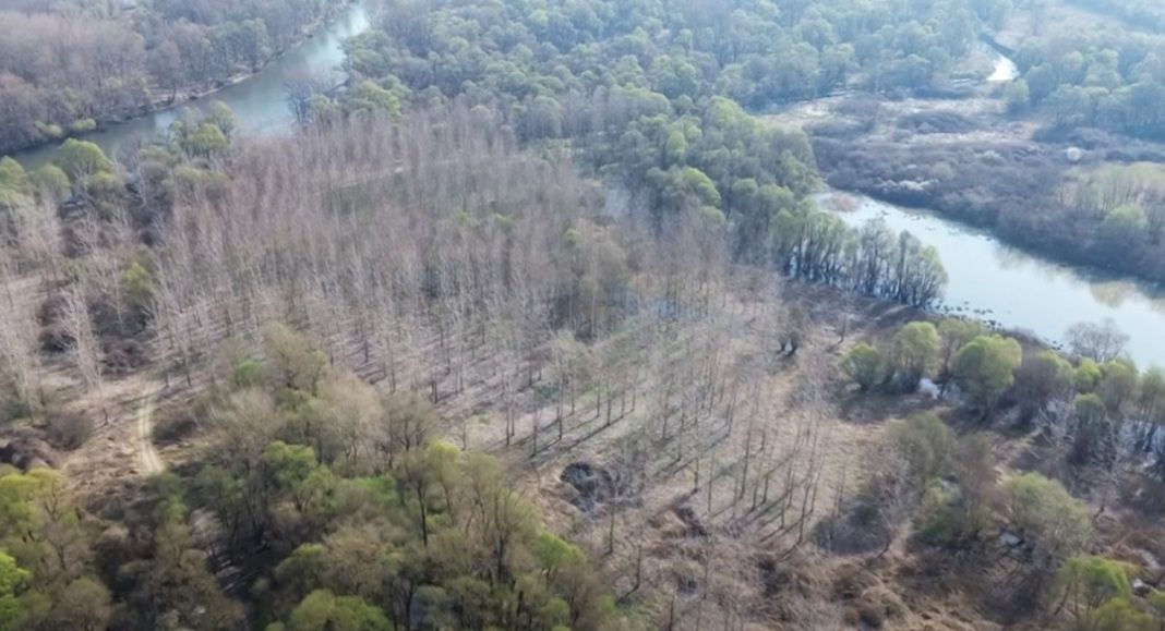 VIDEO Što je vjetruša vidjela? Znate li gdje se nalazi lokalitet Laštrec? VIDEO Što je vjetruša vidjela? Znate li gdje se nalazi lokalitet Laštrec?