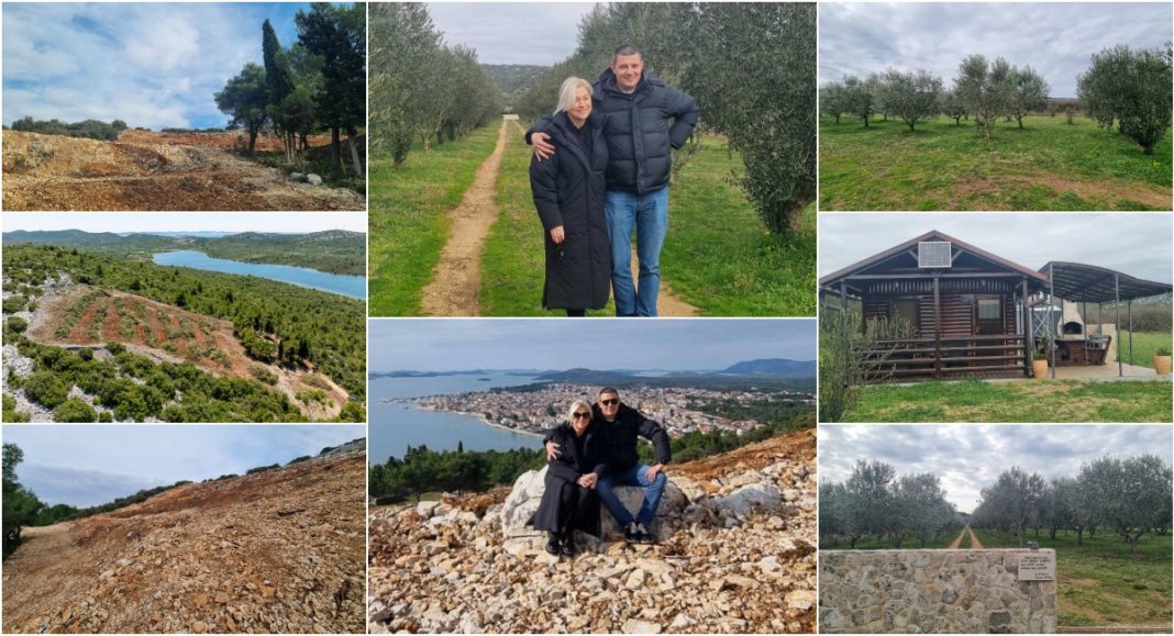 FOTO Međimurska poduzetnost i dalmatinski geni Krešimira Urode iskrčili maslinik u stijeni sa spektakularnim pogledom FOTO Međimurska poduzetnost i dalmatinski geni Krešimira Urode iskrčili maslinik u stijeni sa spektakularnim pogledom