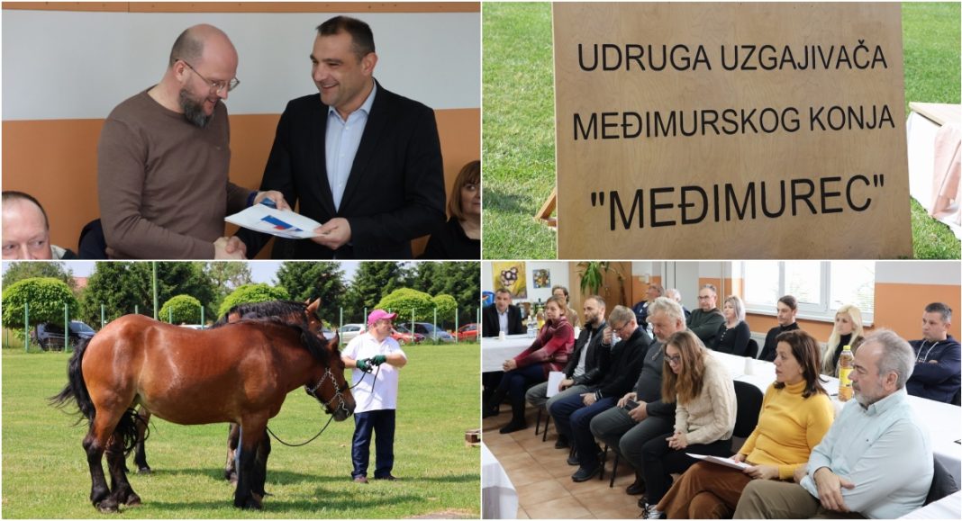 FOTO Lijepe vijesti s godišnje skupštine – međimurski konj je očuvan i njegova budućnost je sigurna! FOTO Lijepe vijesti s godišnje skupštine – međimurski konj je očuvan i njegova budućnost je sigurna!