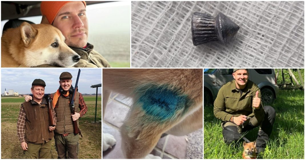 Nakon bešćutnog ranjavanja u Kotoribi, pas Rokica se srećom dobro oporavlja Nakon bešćutnog ranjavanja u Kotoribi, pas Rokica se srećom dobro oporavlja