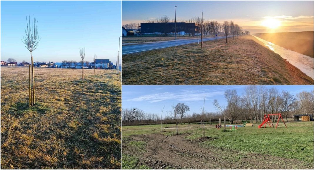 FOTO KTC d.d. donirao sadnice drveća za uljepšanje gradskih i prigradskih površina FOTO KTC d.d. donirao sadnice drveća za uljepšanje gradskih i prigradskih površina