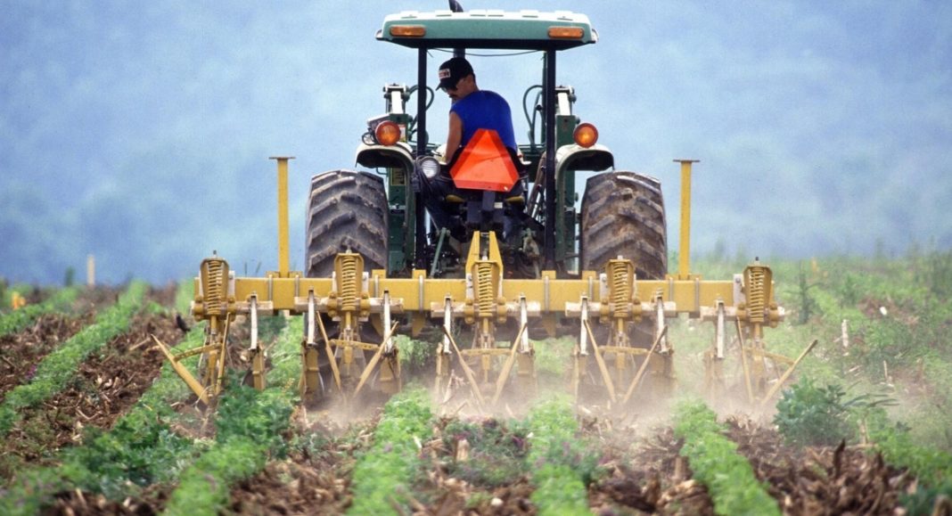 Kreće izbor za najboljeg mladog poljoprivrednika 2025. i nagradu od 3.500 eura! Kreće izbor za najboljeg mladog poljoprivrednika 2025. i nagradu od 3.500 eura!
