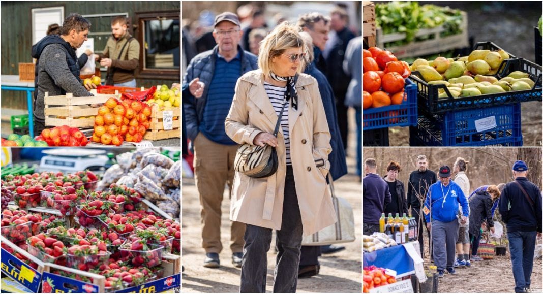 FOTO Voća kao u sezoni: jagode, grožđe, mandarine, jabuke, kruške… Tko zna odakle sve dolazi!? FOTO Voća kao u sezoni: jagode, grožđe, mandarine, jabuke, kruške… Tko zna odakle sve dolazi!?