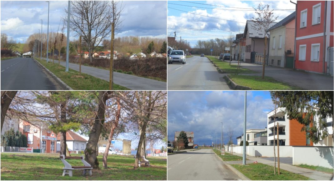FOTO Tisuću novih stabala za zeleniji Čakovec FOTO Tisuću novih stabala za zeleniji Čakovec