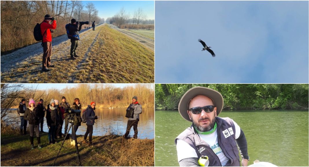 Goran Čižmešija zabilježio prvi let crne rode ove godine iznad Međimurja Goran Čižmešija zabilježio prvi let crne rode ove godine iznad Međimurja