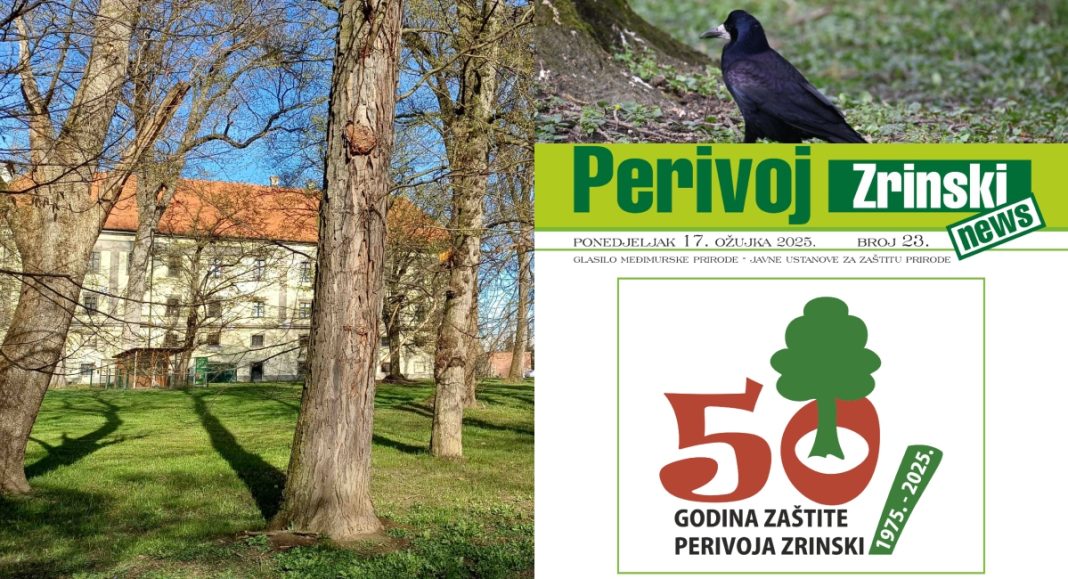 Novo izdanje glasila “Perivoj Zrinski News” donosi zanimljive sadržaje i obljetničke teme! Novo izdanje glasila “Perivoj Zrinski News” donosi zanimljive sadržaje i obljetničke teme!