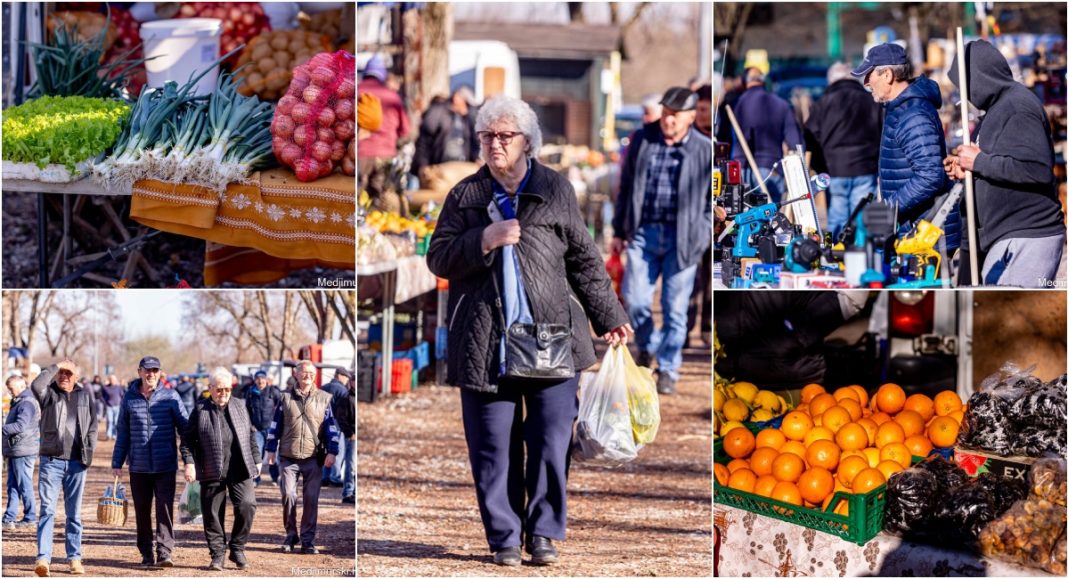 FOTO Vezica špinata je nuđeno po 7 eura, a kilogram salate kristalke po 3 eura! FOTO Vezica špinata je nuđeno po 7 eura, a kilogram salate kristalke po 3 eura!