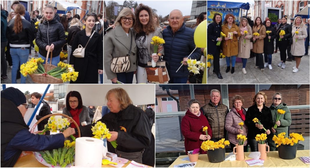 FOTO Čakovec i Međimurje obilježili Dan narcisa: Građani donacijama poduprli borbu protiv raka dojke FOTO Čakovec i Međimurje obilježili Dan narcisa: Građani donacijama poduprli borbu protiv raka dojke