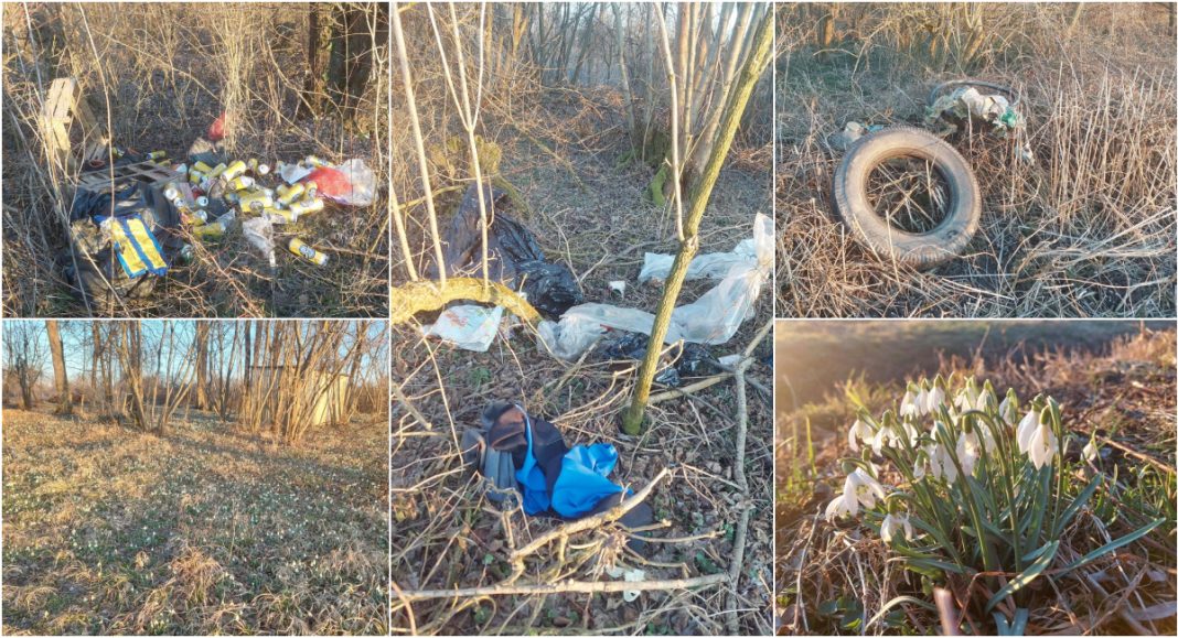 FOTO Omiljena šumica Fojsak u Svetoj Mariji puna visibaba i – smeća! FOTO Omiljena šumica Fojsak u Svetoj Mariji puna visibaba i – smeća!