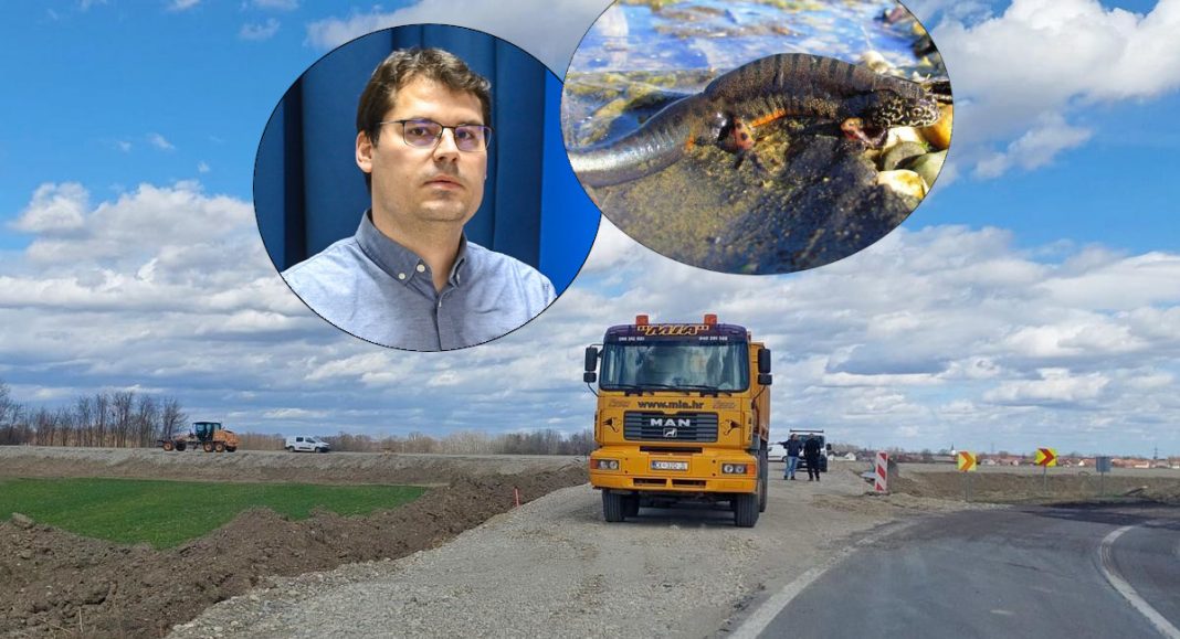 Mario Horvat: ‘Brine li Grad Prelog o ugroženim životinjama kod izgradnje obilaznice Preloga?’ Mario Horvat: ‘Brine li Grad Prelog o ugroženim životinjama kod izgradnje obilaznice Preloga?’