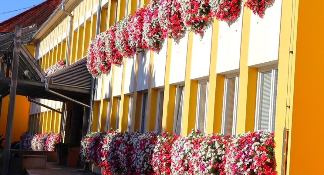 Međimurska županija raspisala natječaj za popunjavanje 8 radnih mjesta! Javite se! Međimurska županija raspisala natječaj za popunjavanje 8 radnih mjesta! Javite se!